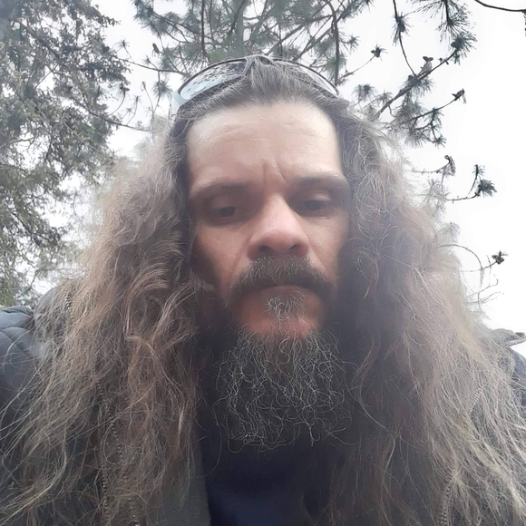 Free to good home - Picture 4 of 16